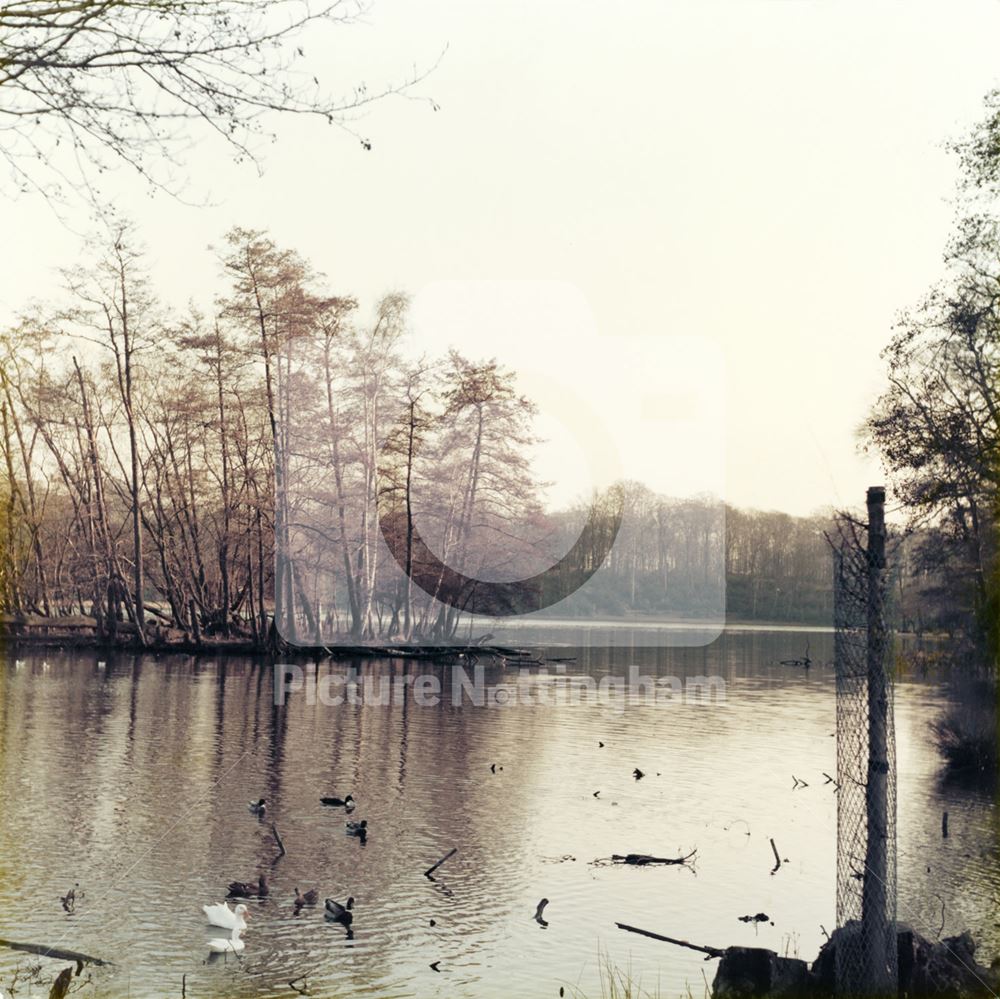 Wollaton Hall - Lake in Wollaton Park