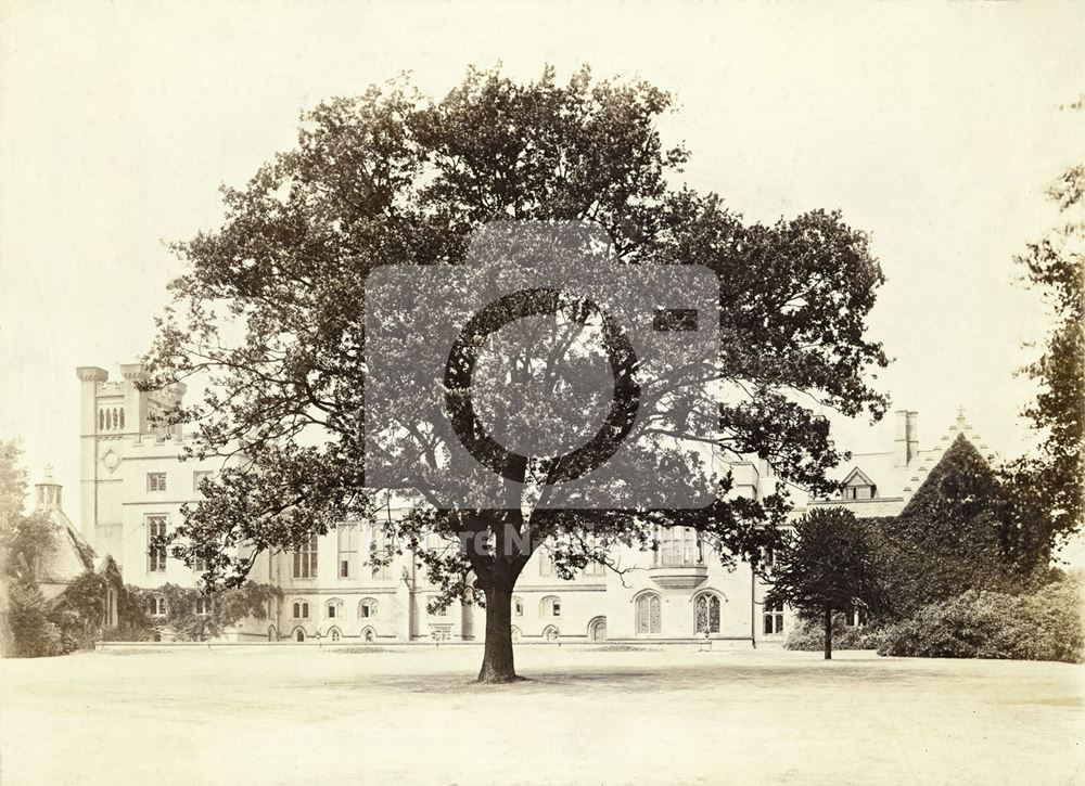 Byron Oak on south lawn of Newstead Abbey