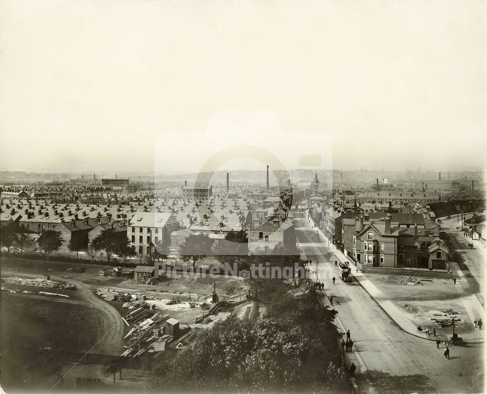 Meadows from Trent Bridge