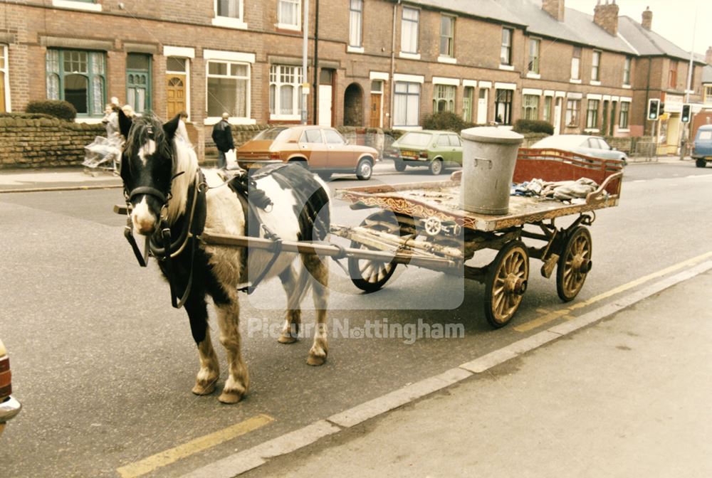 'Rag and Bone' horse and cart