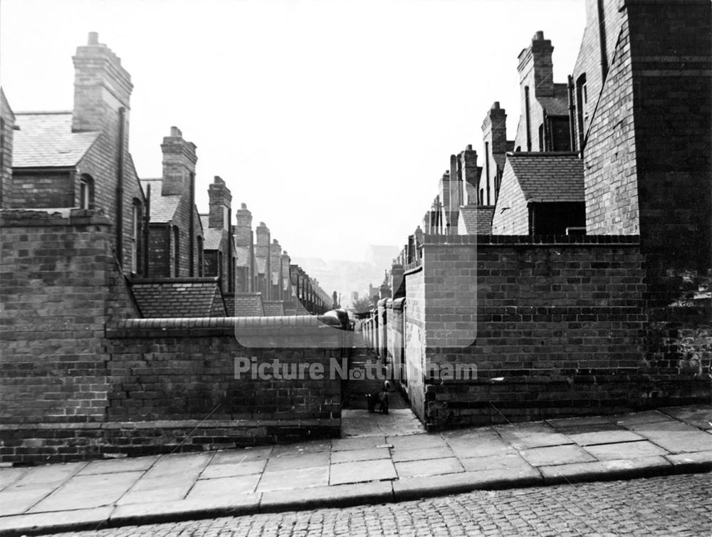 Chandos Street and Ransom Road, St Ann's