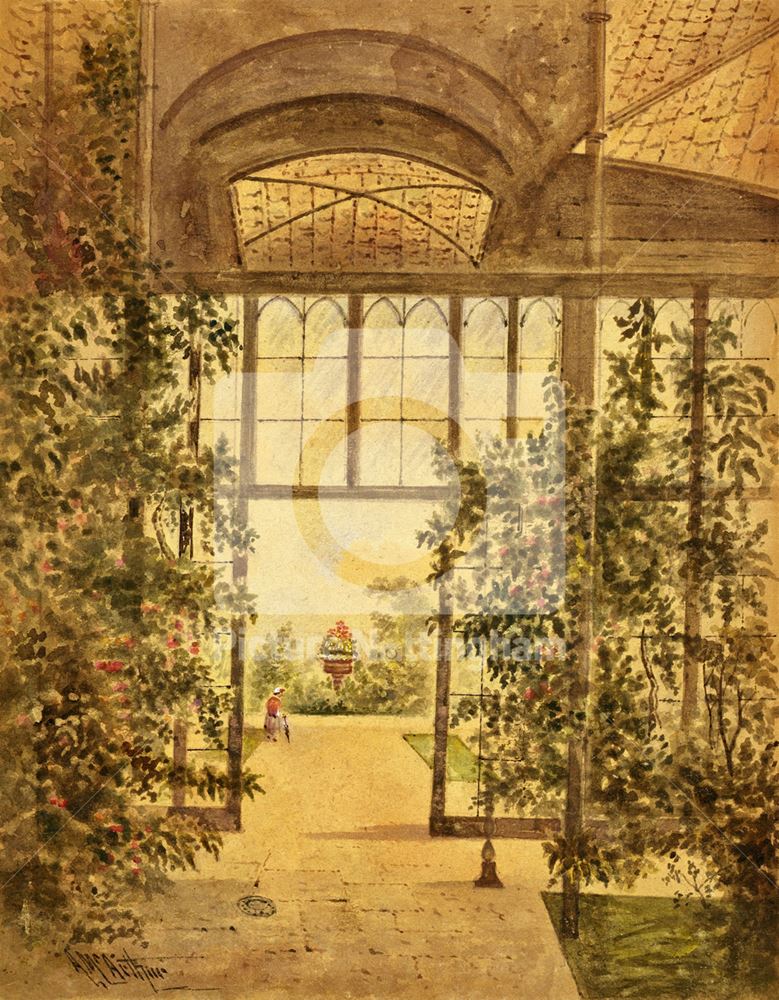 Camellia House, Wollaton Hall