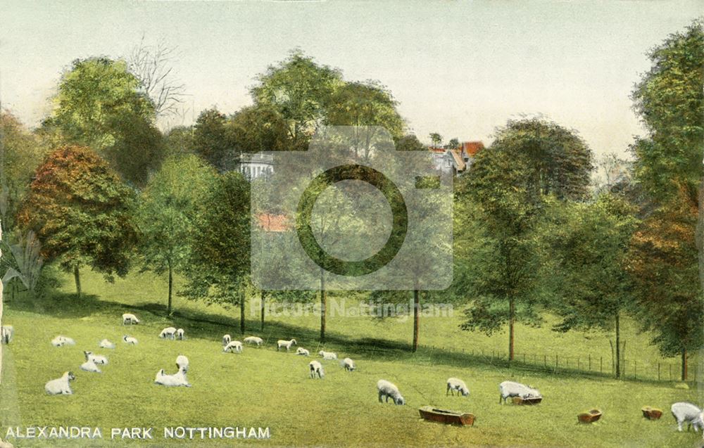 Alexandra Park, Nottingham