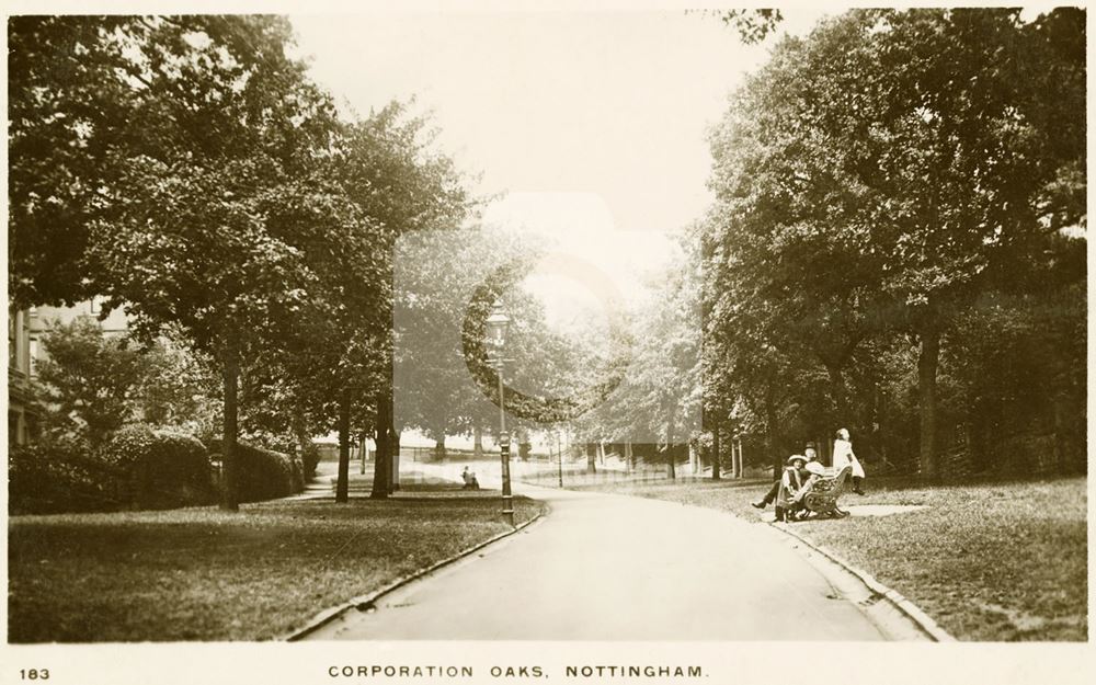 Corporation Oaks, St Anns