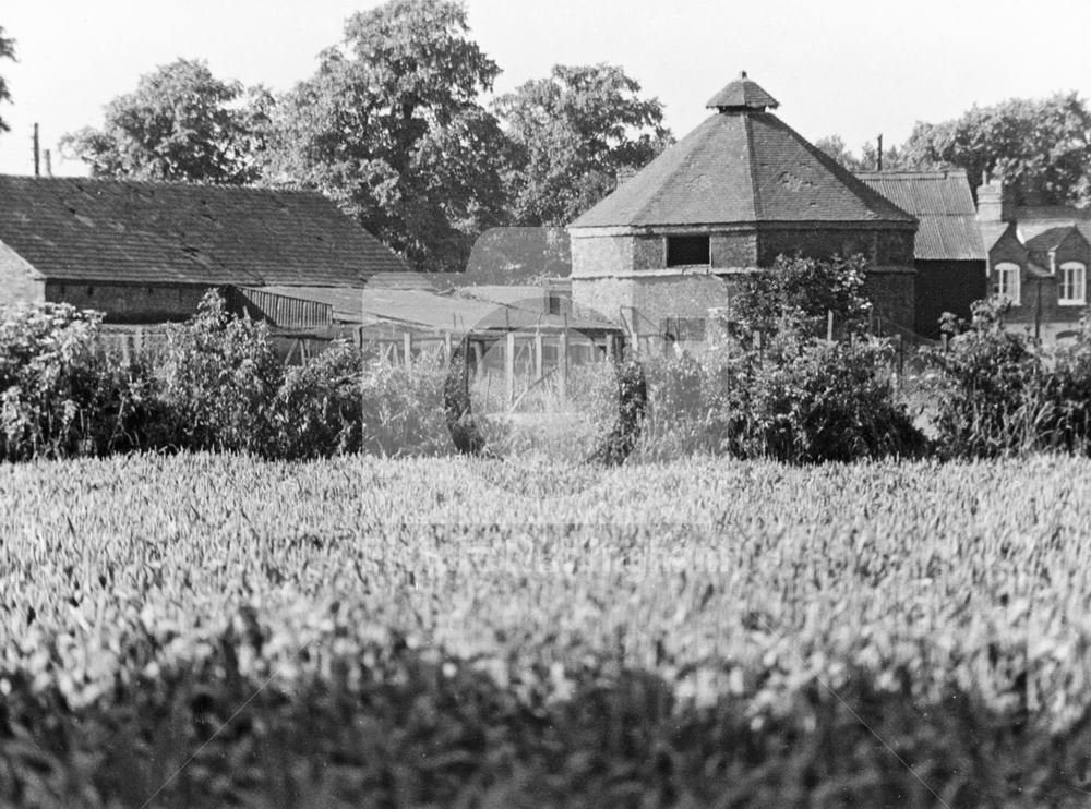 Dovecote, Manor Farm, Barton in Fabis