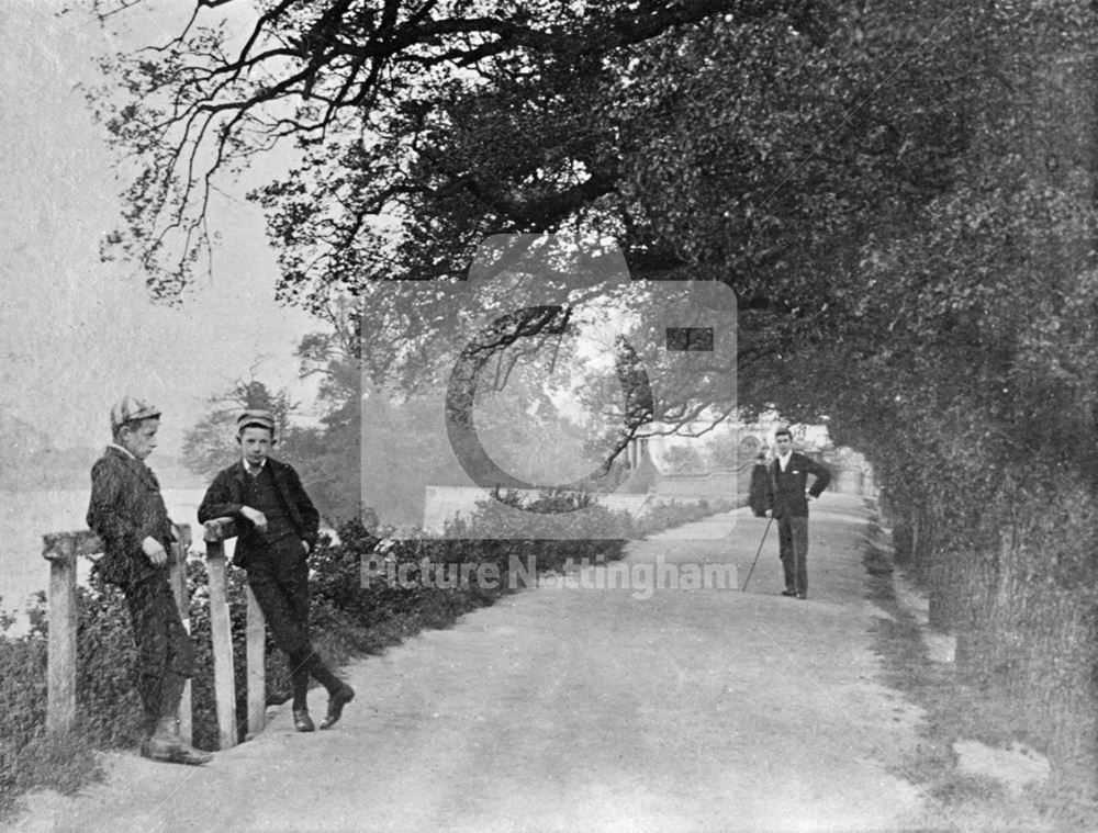 Elm Tree Walk - c 1895