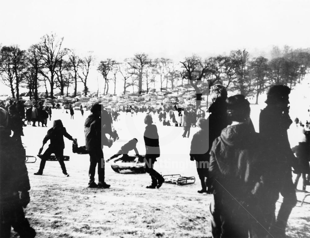 Winter sports in Wollaton Park