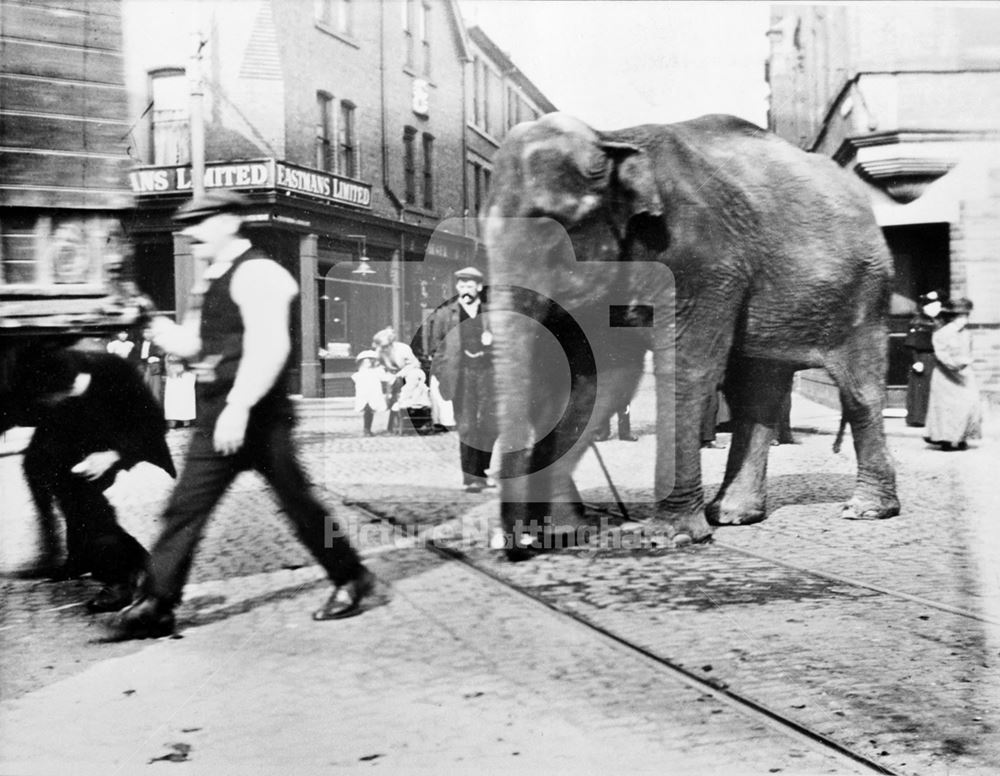 The Wakes, Bulwell - showing an elephant from one of the menagerie sideshows