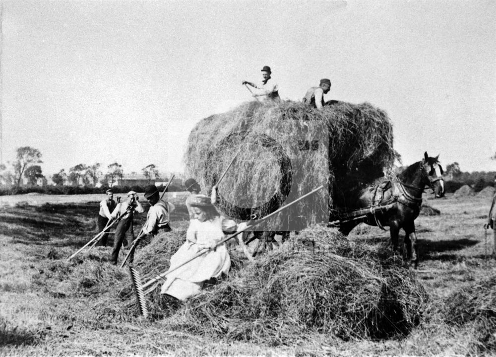 Haymaking - Clifton