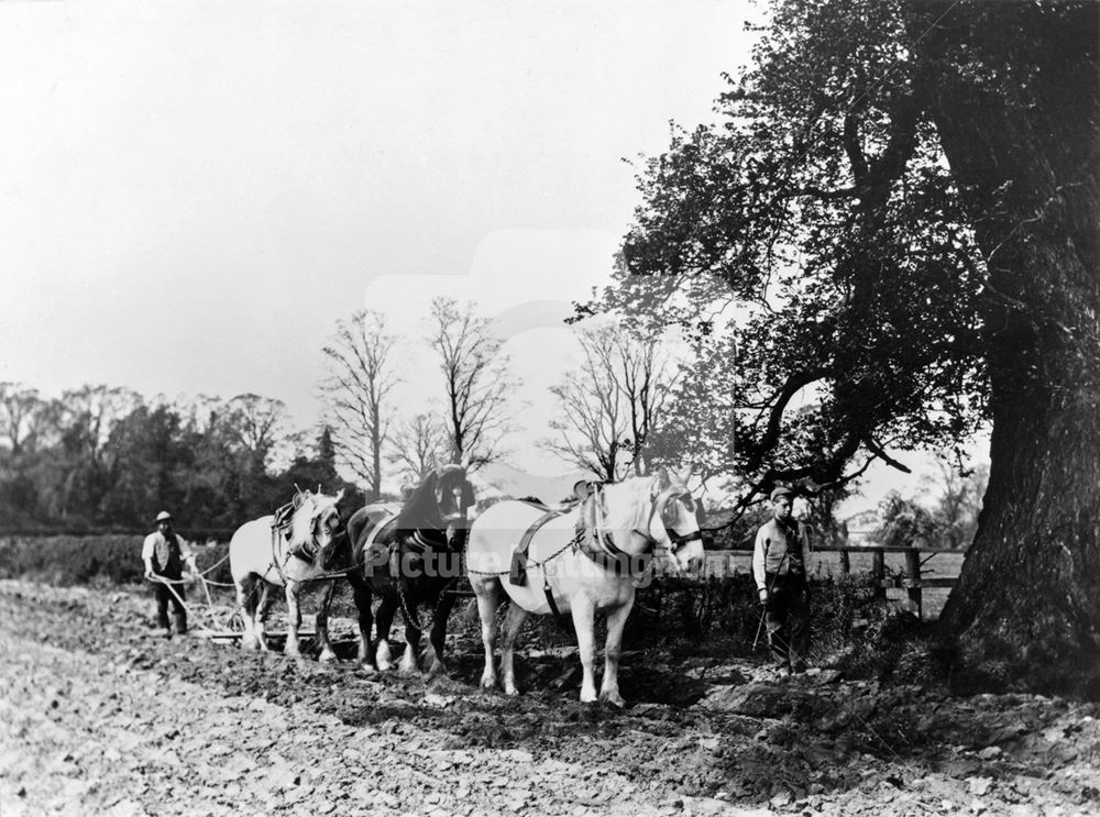 Ploughing - Clifton