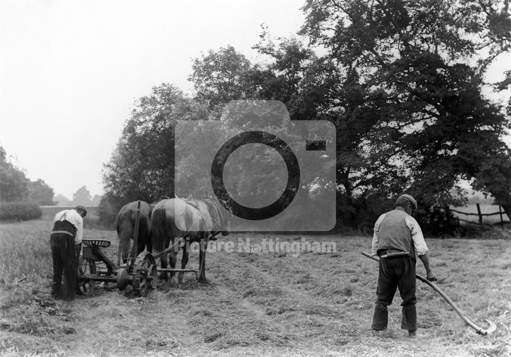 Haymaking - Mowing and scything