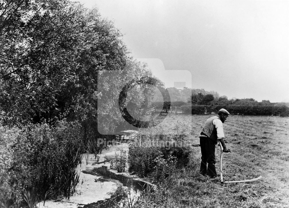 A man scything near Fairham (?) Brook