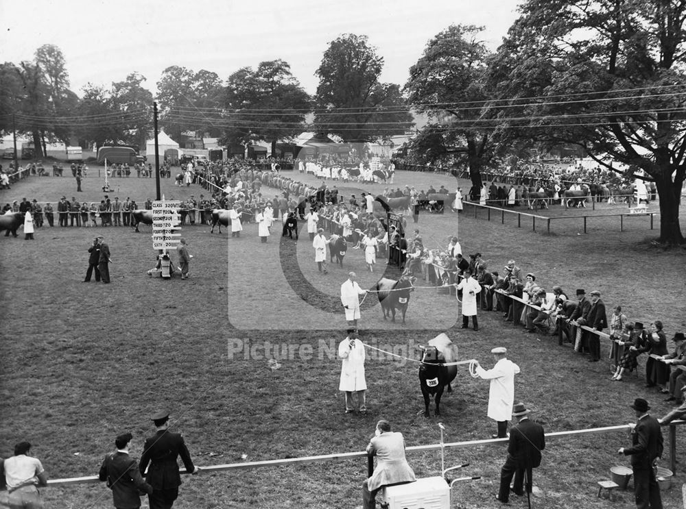 Royal Visit, Wollaton Park, Wollaton, Nottingham, 1955