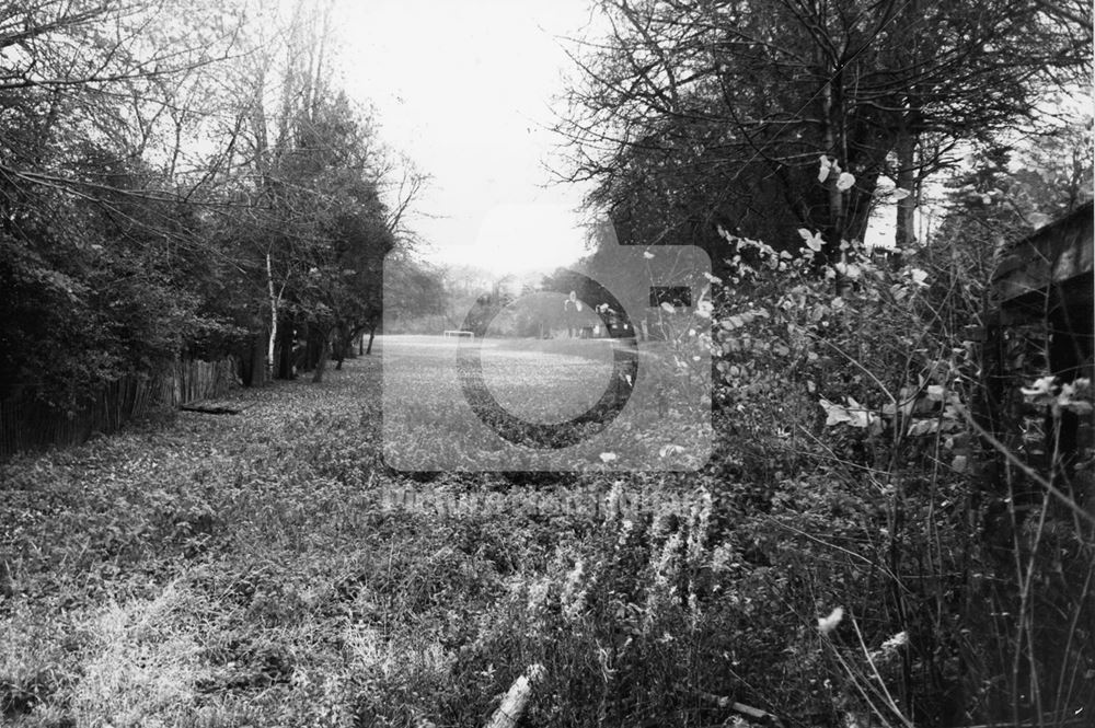 Coppice recreation ground, Coppice Road, Arnold, 1973