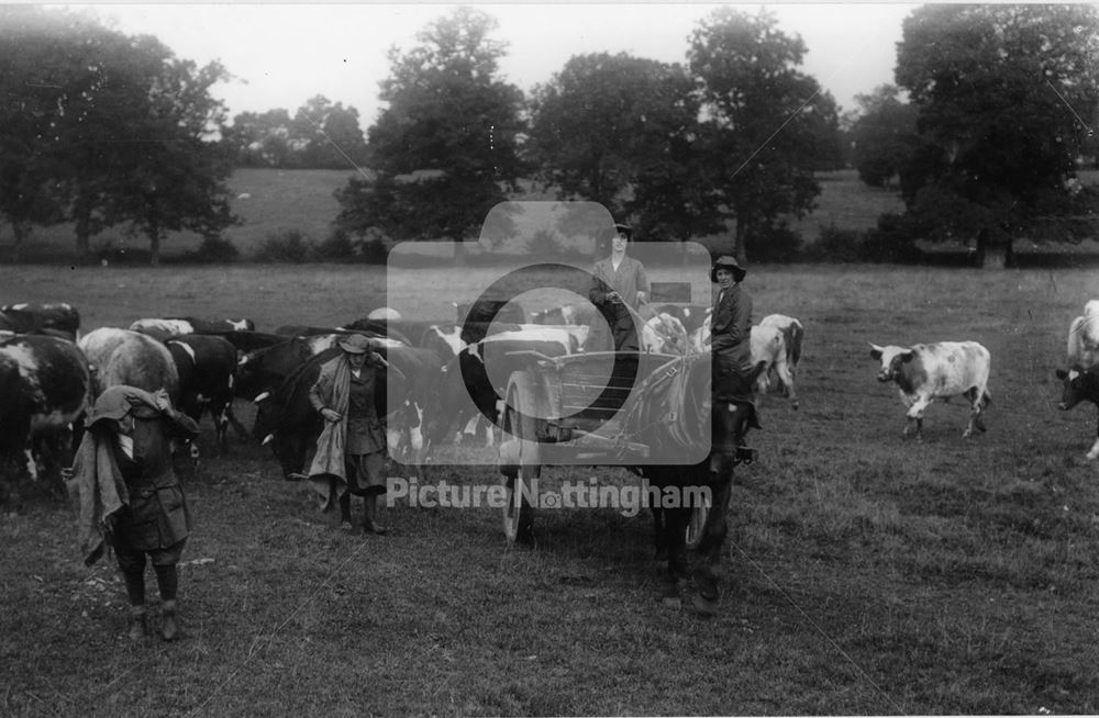 Women's land army, 1917