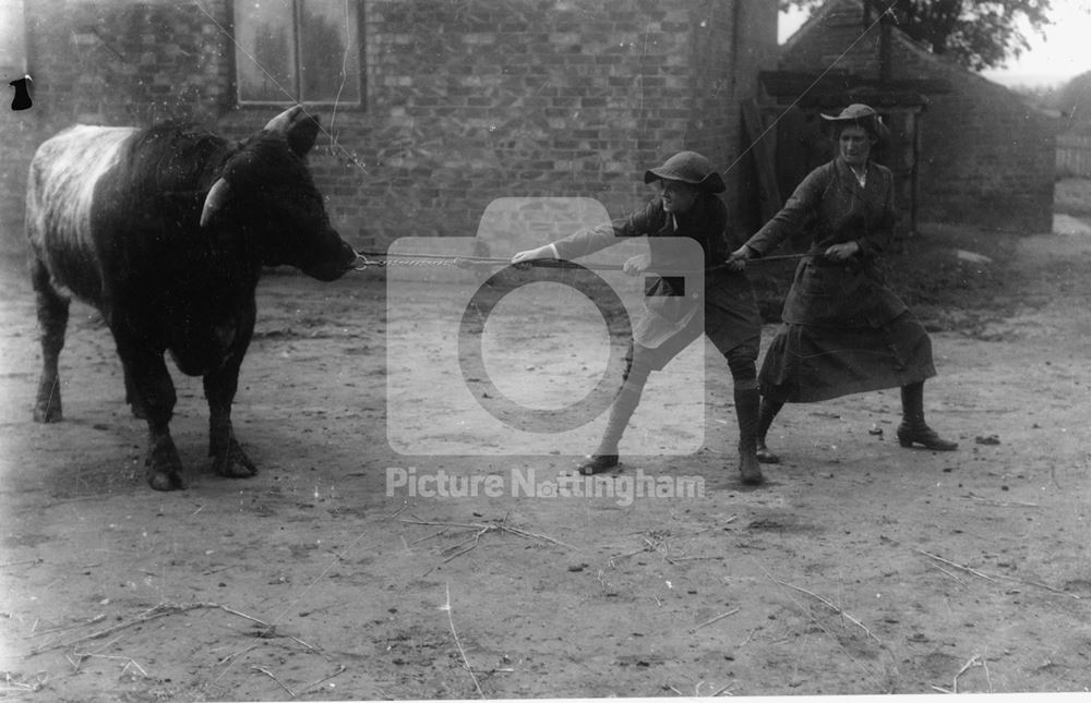 Women's land army, 1917