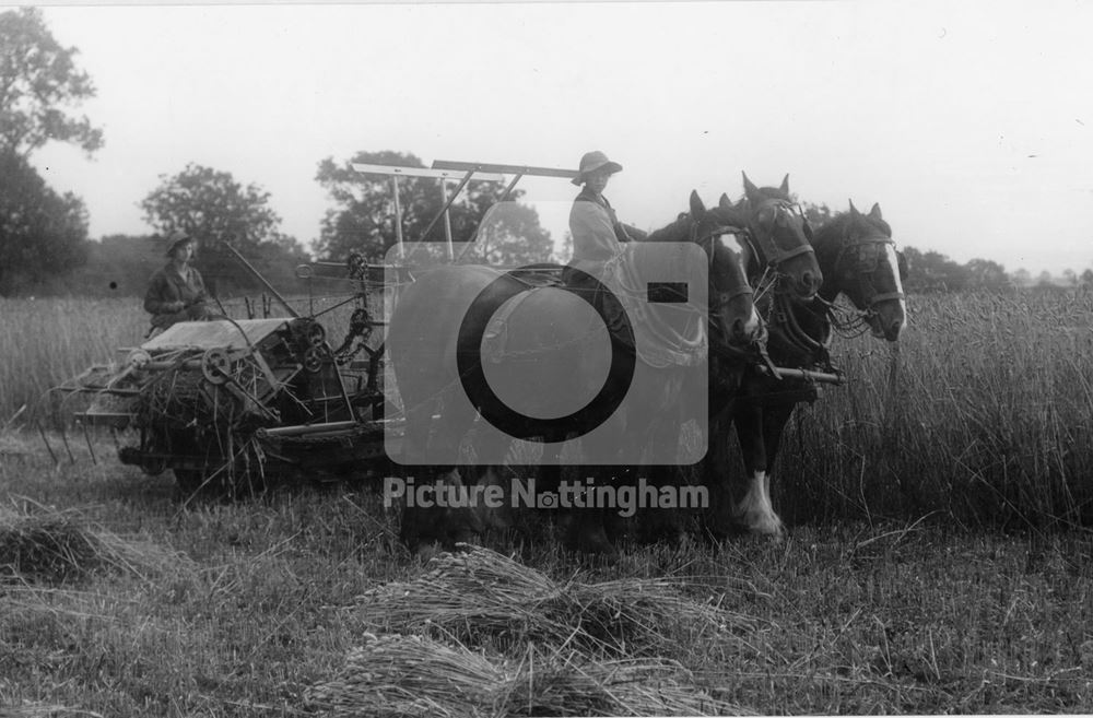 Women's land army, 1917