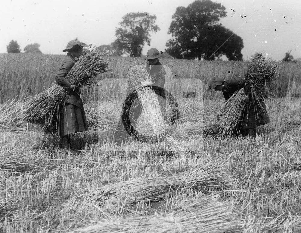 Women's land army, 1917