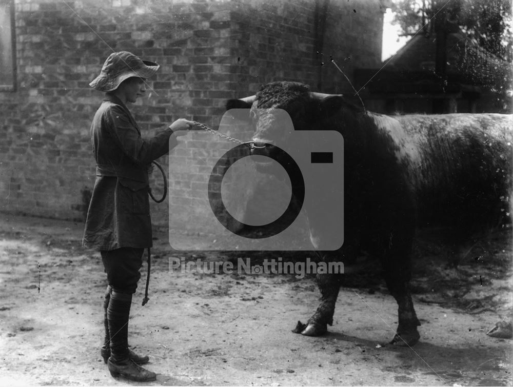 Women's Land Army, Nottingham, 1917