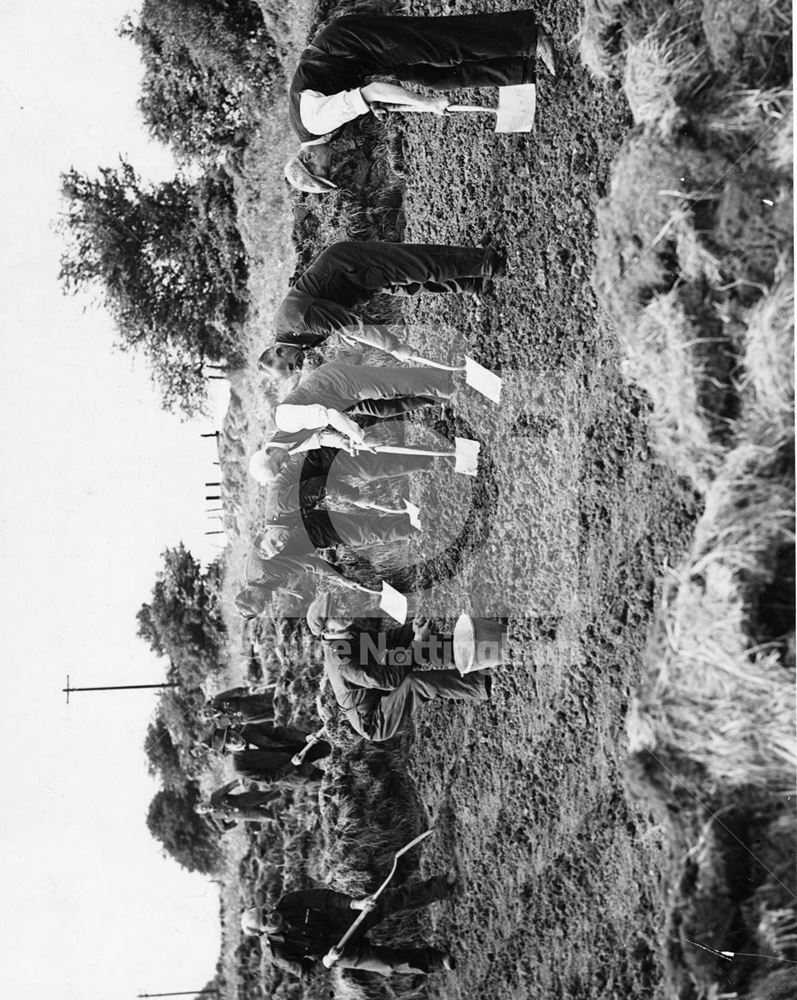 ARP men, digging for victory, 1939-1940