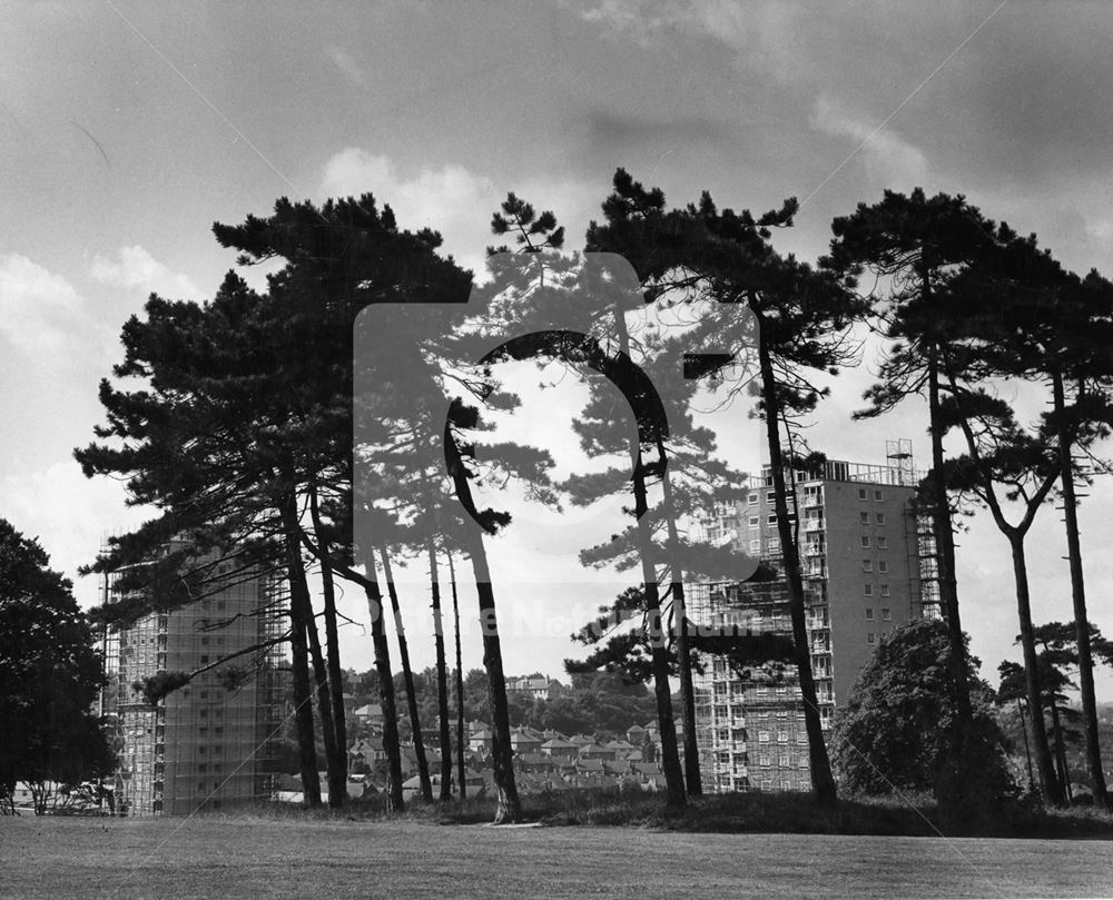 Winchester Street Flats, Sherwood, 1965