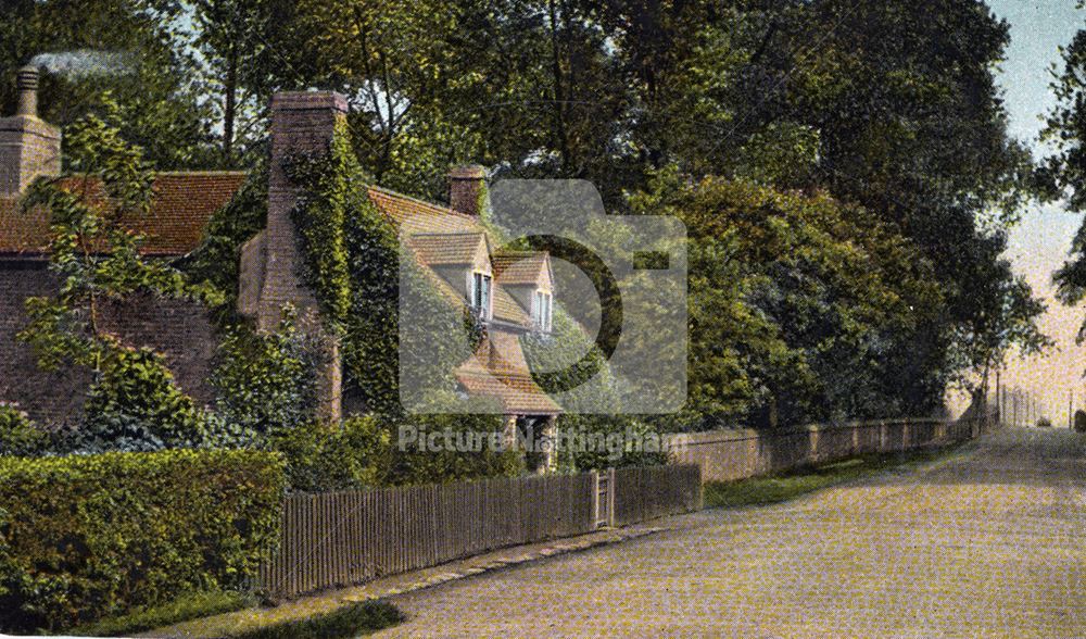 Vine cottage, Wollaton Road, 1908