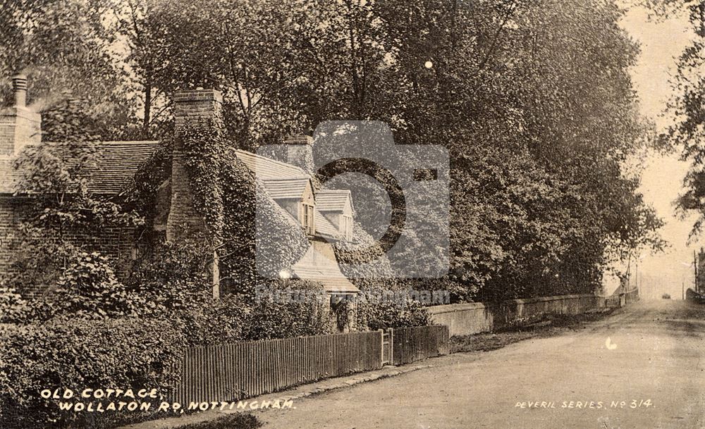 Vine cottage, Wollaton Road, Wollaton, c1905?