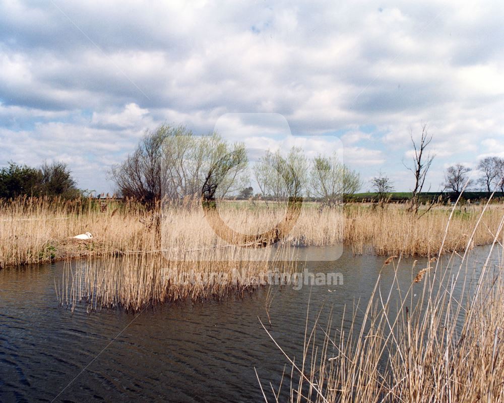 Canal and Reeds near Cotgrave Bridge (no12)