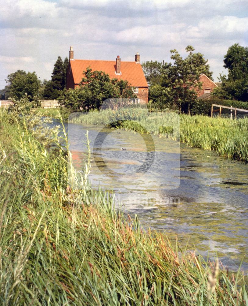 Looking East towards Hickling Basin