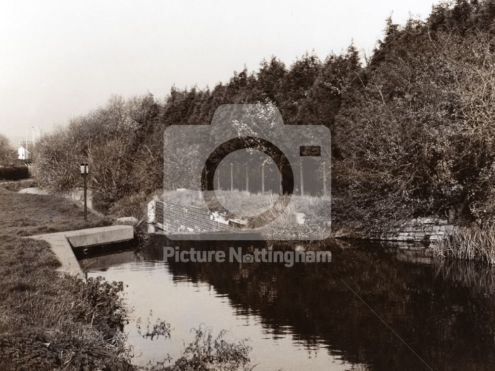 Bridgford Lock (no2) - Looking North : Gates removed and filled in