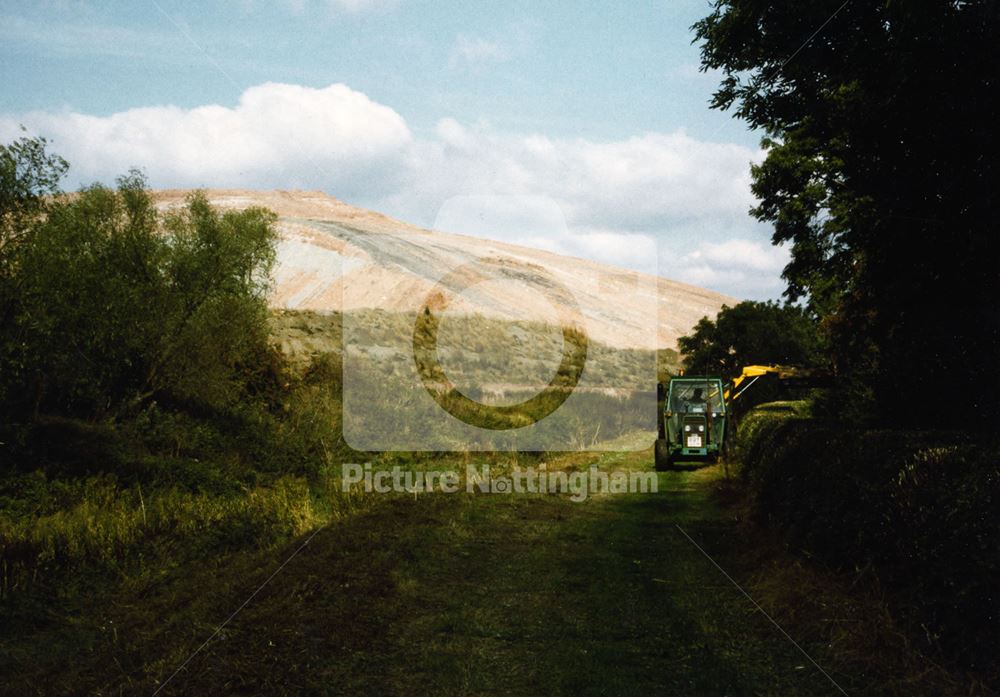 Hedge cutting and gypsum quarry near Bridge no 23 (Colston Bridge)