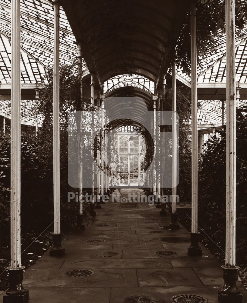 Camellia House Interior, Wollaton Park