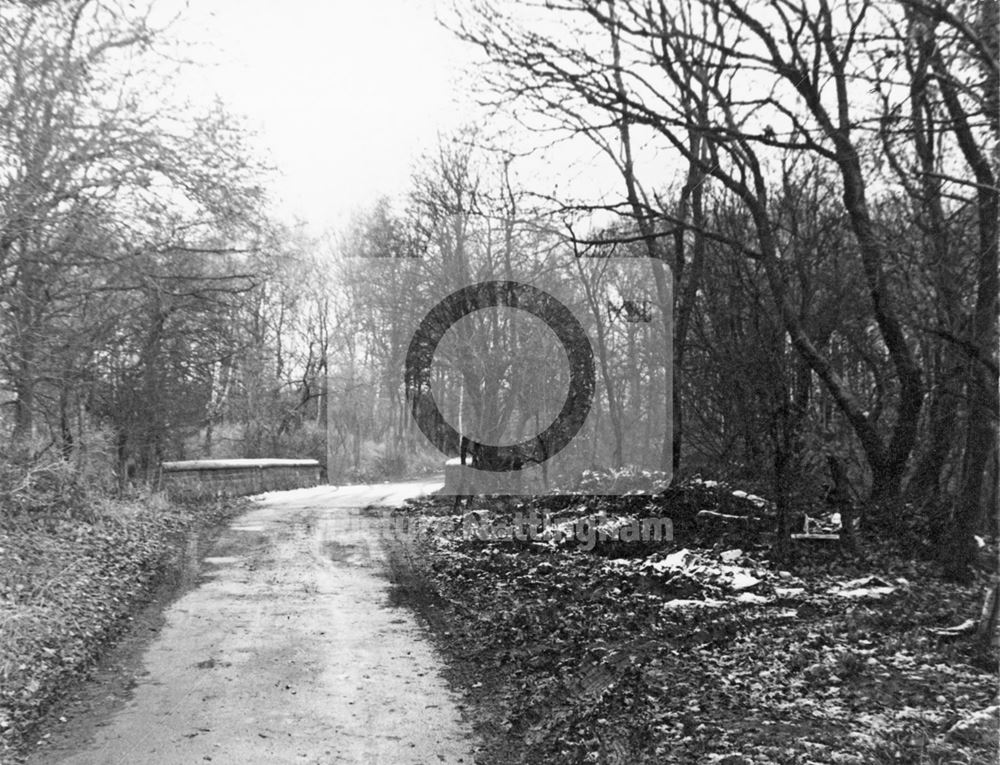 Bridge over the Nottingham Canal - Balloon Woods - This location was used in 'Saturday Night and Sun