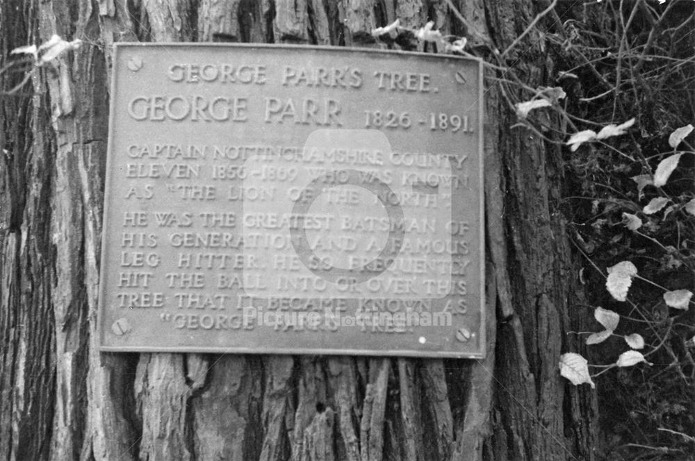 Plaque, George Parr Tree, Trent Bridge Cricket Ground, West Bridgford, c 1960