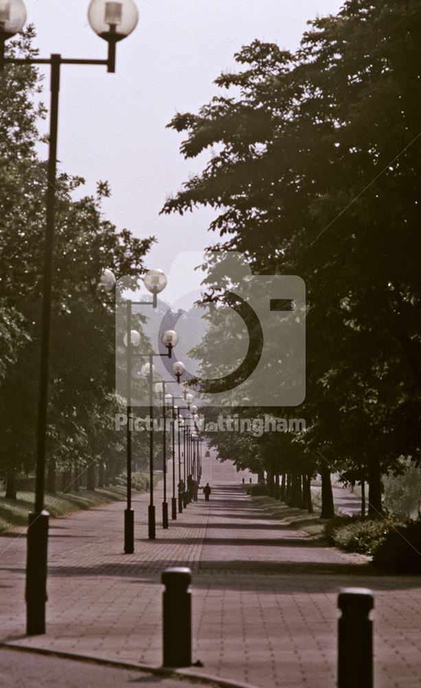 Perpective view of the lamps along the Forest Walk.