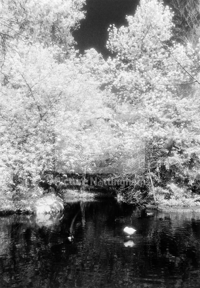 Arboretum Lake - in infared, Waverley Street, Nottingham, 1997