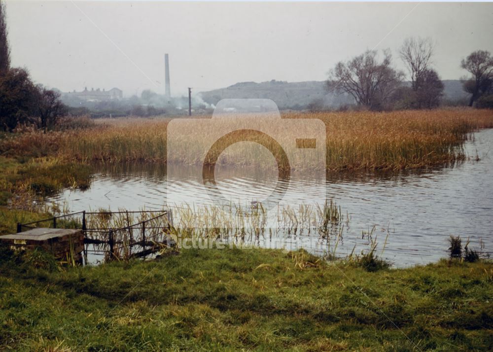 Martin's pond, Russell Avenue, Wollaton, 1966