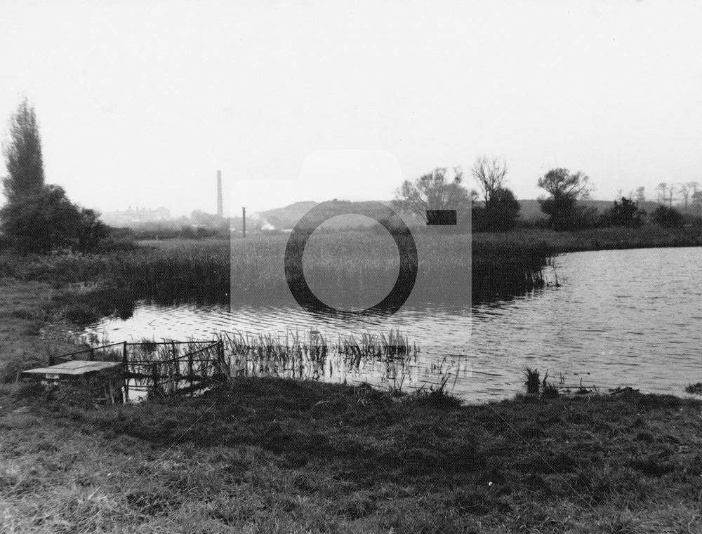 Martin's pond, Russell Avenue, Wollaton, 1966