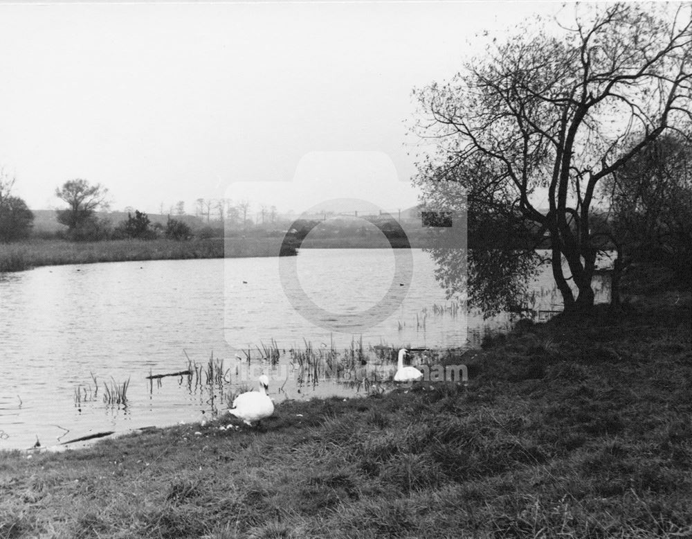 Martin's pond, Russell Avenue, Wollaton, 1966