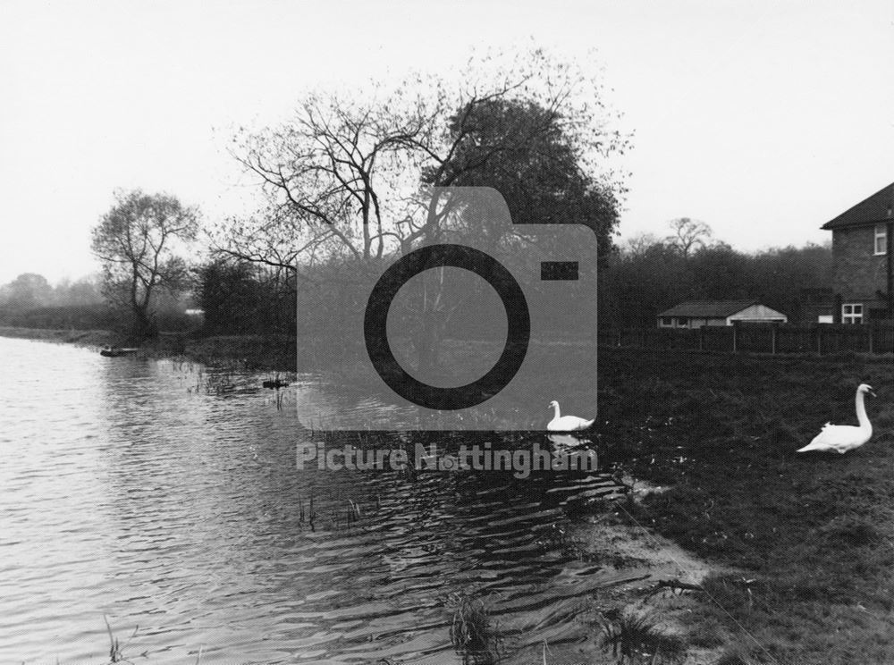 Martin's pond, Russell Avenue, Wollaton, 1966