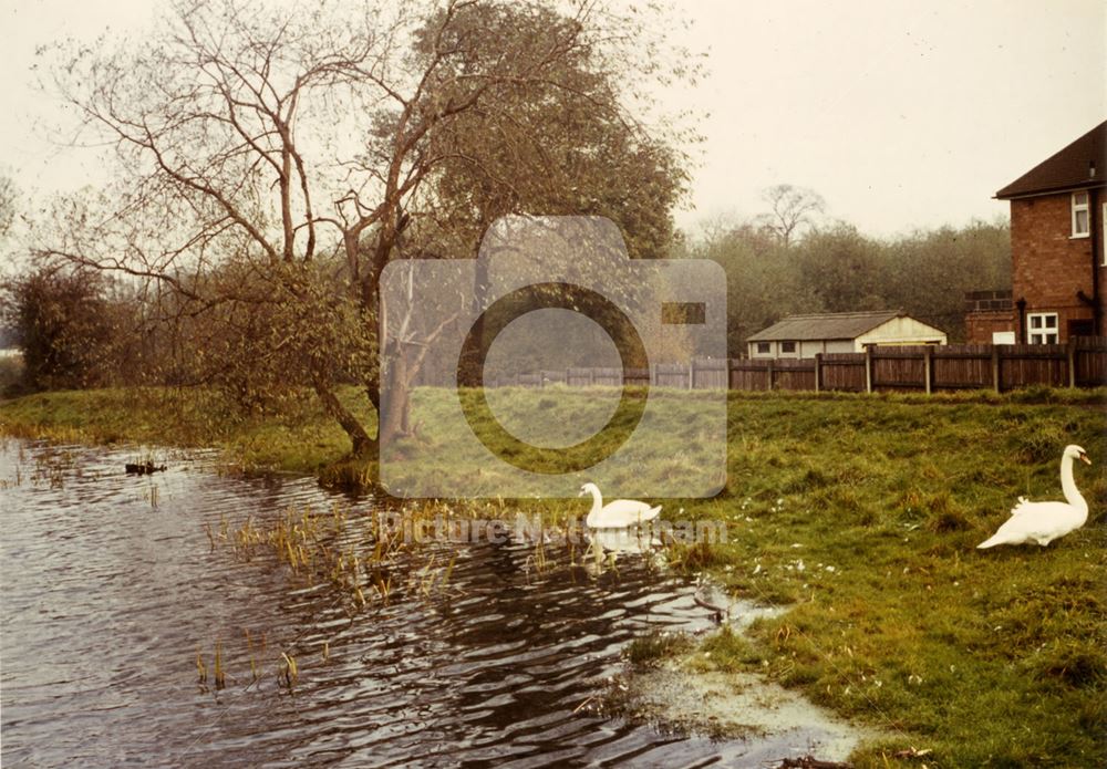 Martin's pond, Russell Avenue, Wollaton, 1966