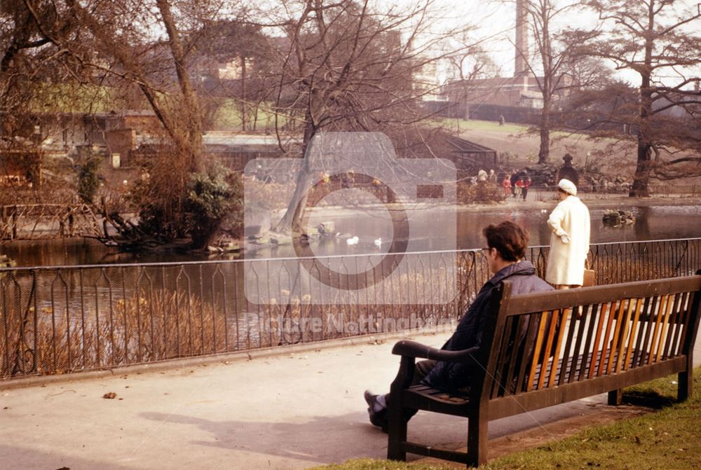 Arboretum, Waverley Street, 1968