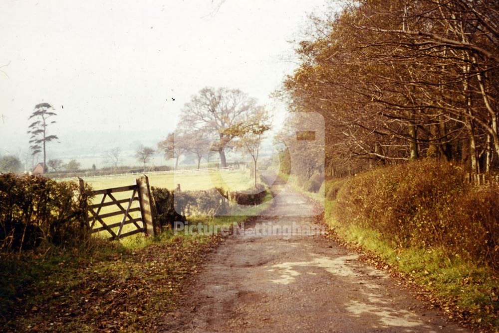 Cossalll Road, Strelley, 1966