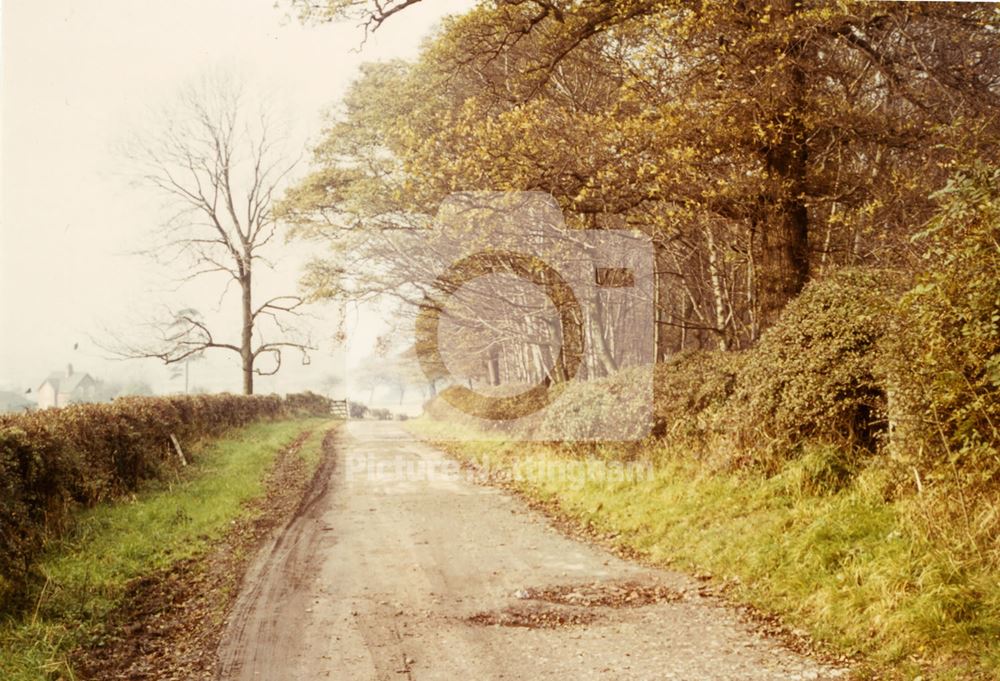 Cossalll Road, Strelley, 1966