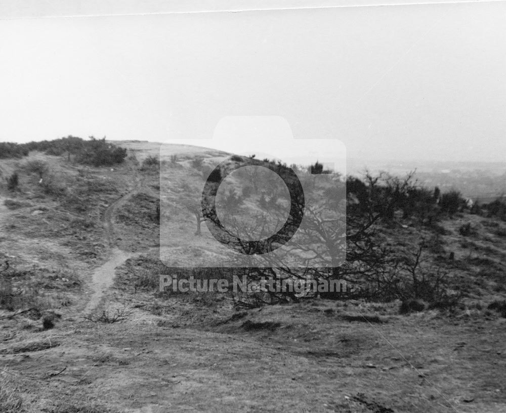 Bramcote Hills, 1968