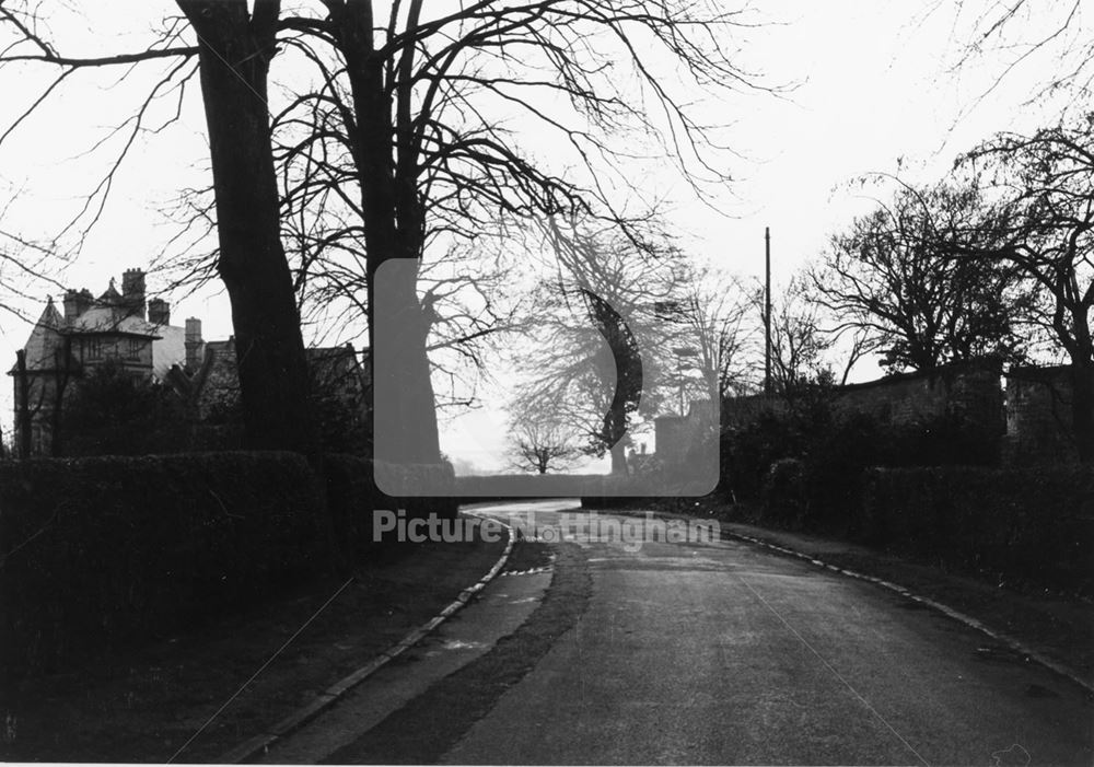 Springfield, Alexandra Park