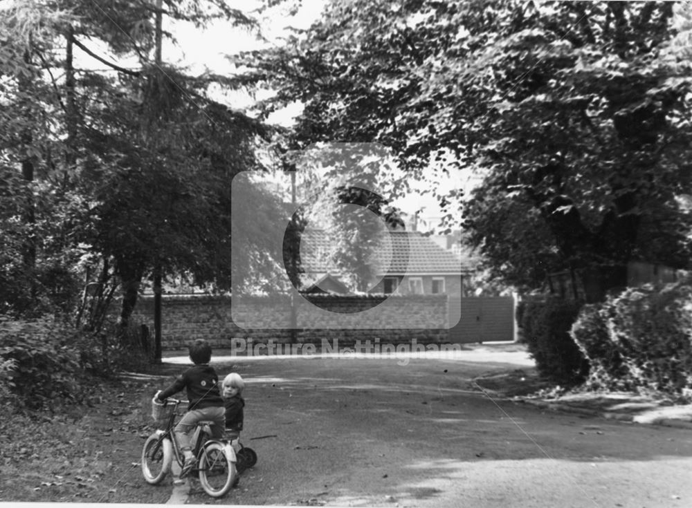 Alexandra Park 1974