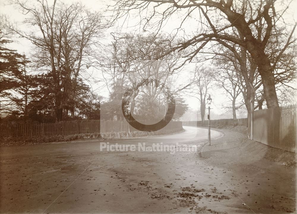 Beeston Lane, Beeston, 1923