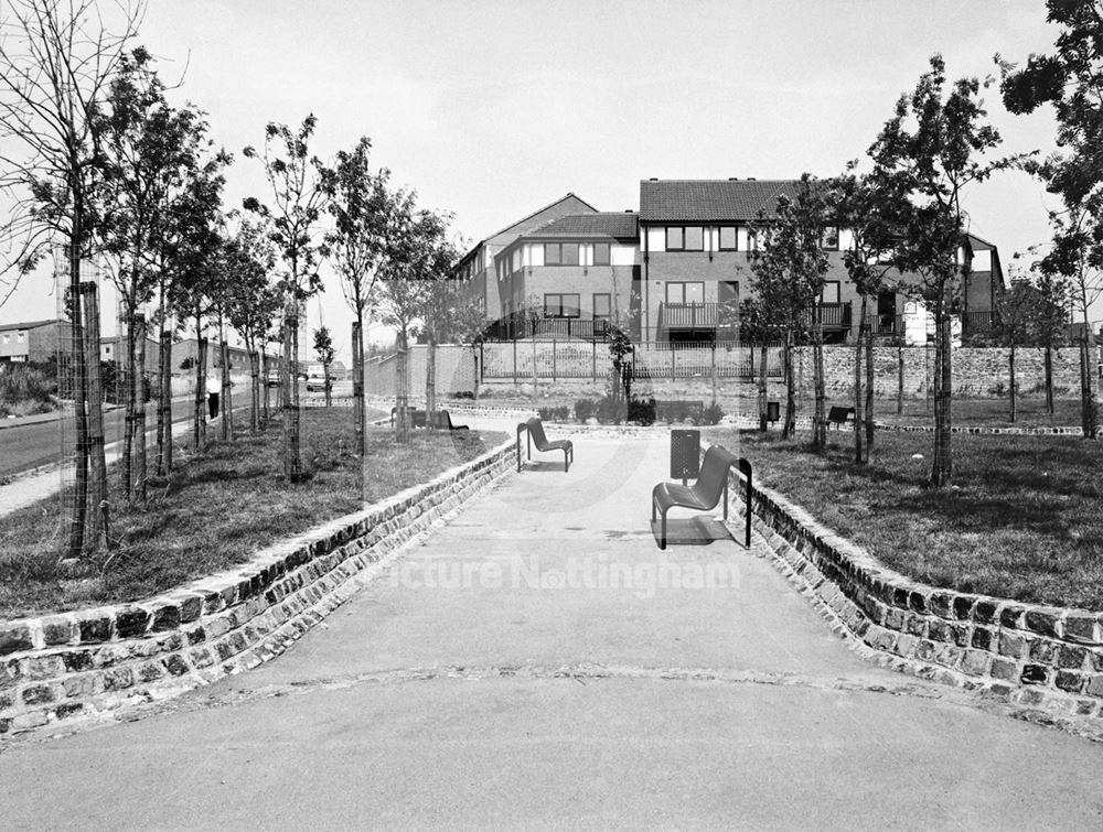 Arnold Road and Park Lane Corner, Basford.