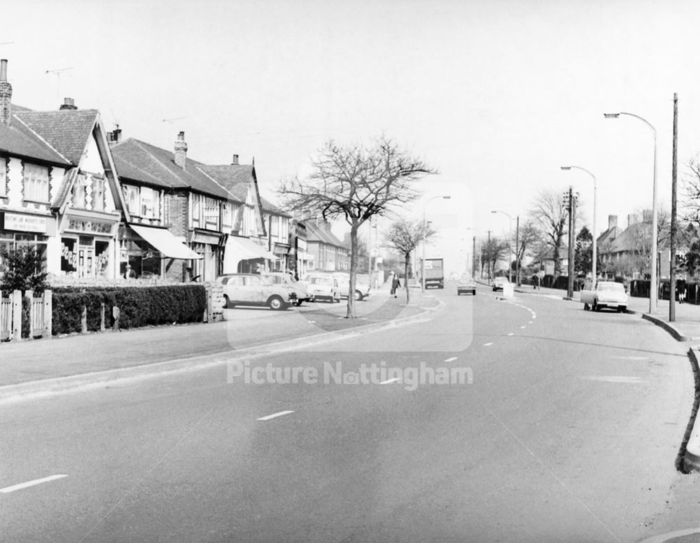 Broxtowe Lane, Aspley, 1973